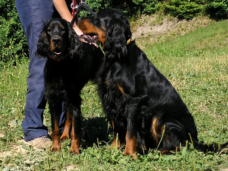 Fleur_KimiP1014338_f.jpg
