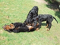Fleur_08_April_08_0088_f