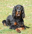 Fleur_08_April_08_0091_f