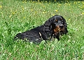 Fleur_10_Juli_07_-1764782166_f