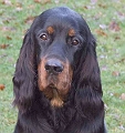 Fleur_31_Dez_2007_01200701060044_f