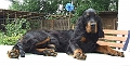 Iceflower_01_Juli_07_2__f