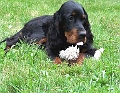 Iceflower_18_Juli_07_925806506_f