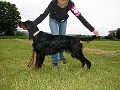 Picture_011_f