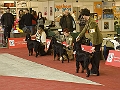 _B296155_f