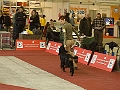 _B296167_f